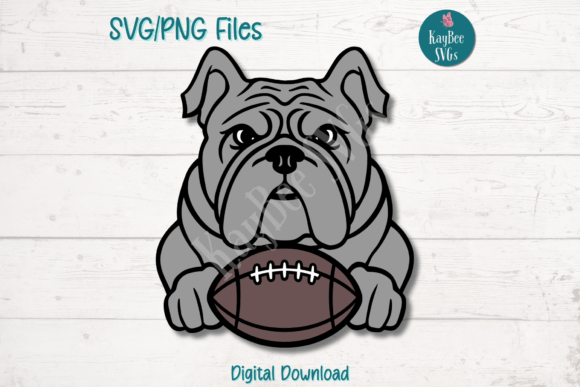 Bulldog with Football: A Designer's Hands-On Review